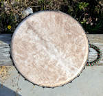 The goat skin drum head of an ashiko hand drum.