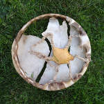 The underside of a shaman drum with broken lacing and skin.