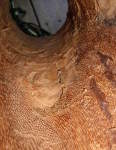 Another crack on the inside of a djembe drum shell.